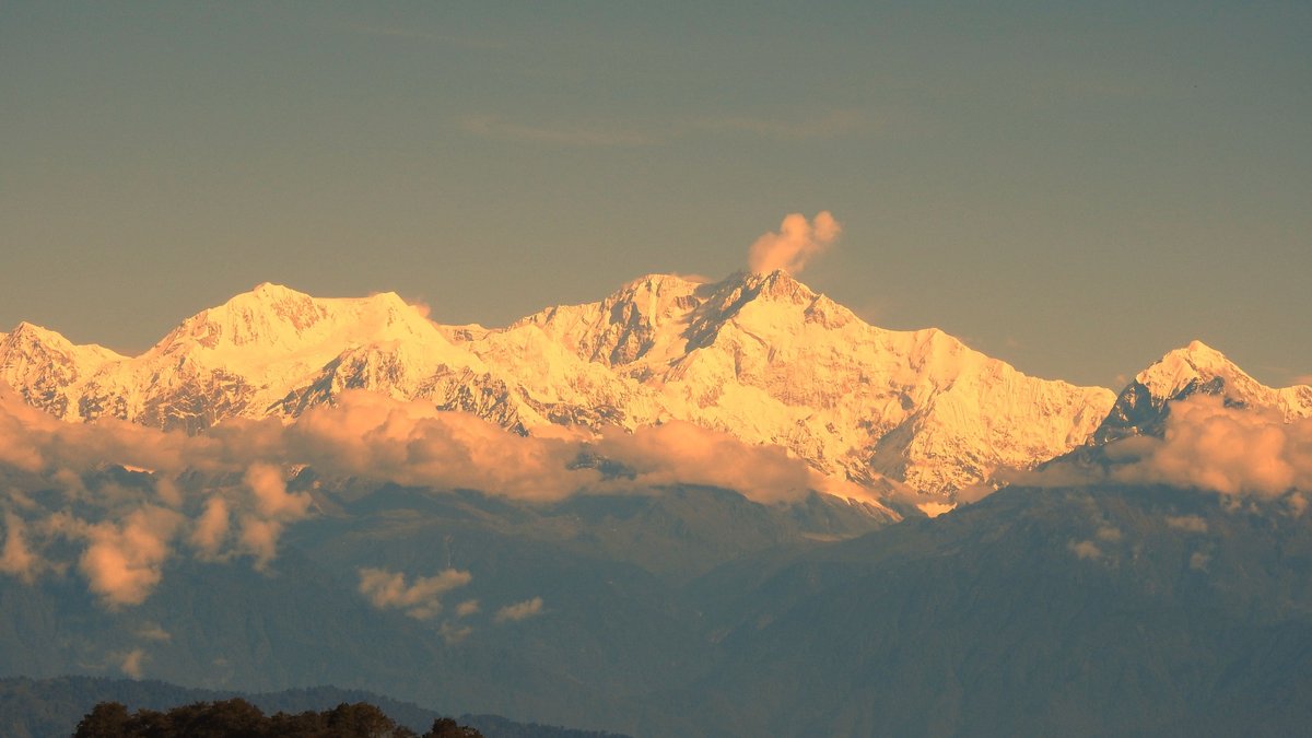 The Kanchenjunga range lit gold and pink by a low sun, snow peaks above a band of cloud, dark forested ridges below