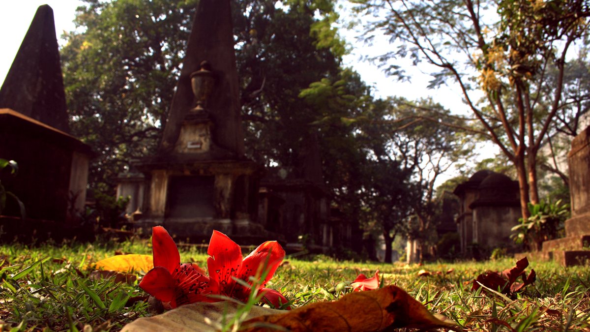 Obelisk tombs under tall trees in South Park Street Cemetery, with a fallen red silk-cotton flower and dry leaves on the grass in front