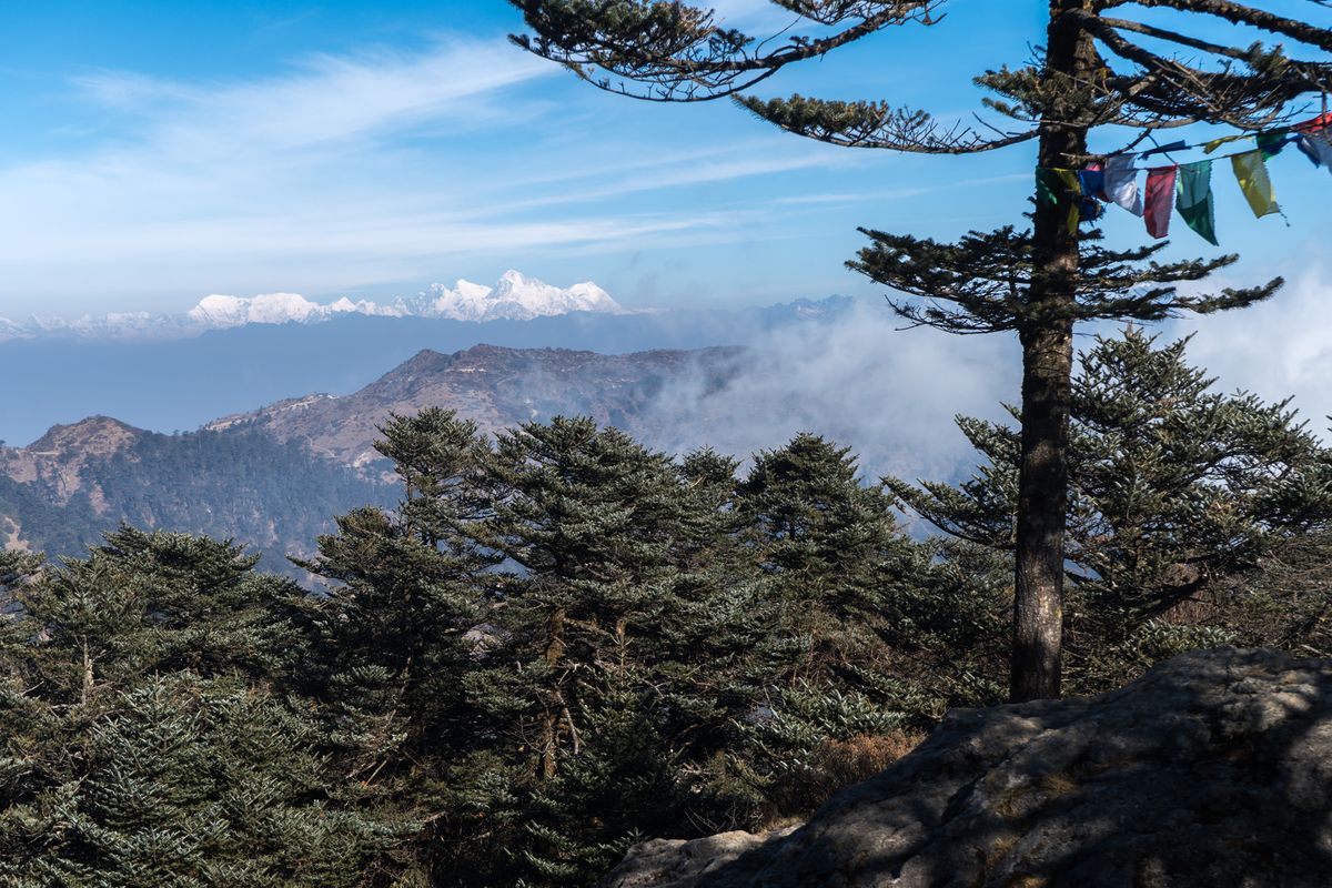 Small, far-off snow peaks on the left of a wide horizon, with dark fir trees and a string of prayer flags close in the foreground